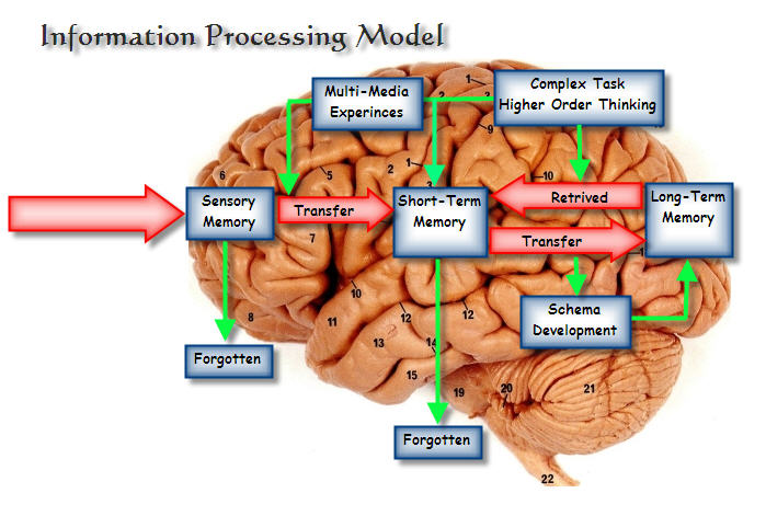 informational processing theory